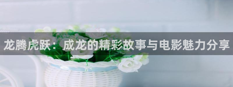 秋霞影视蜜桃四区