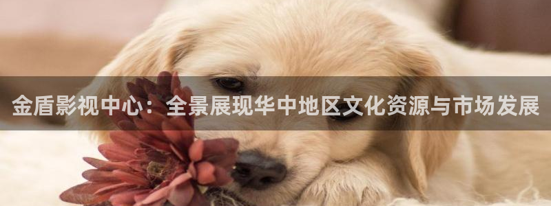 2017秋霞片