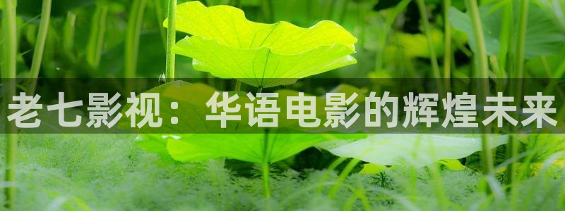 秋霞一级全黄大片