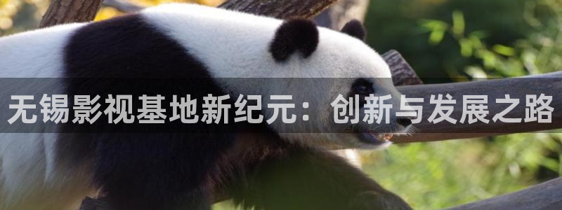 秋霞电影二