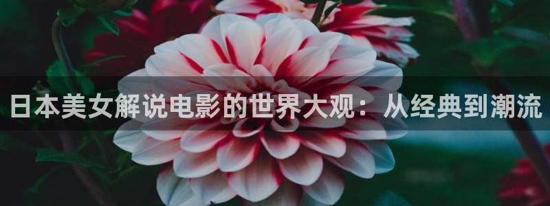 秋霞影院电视剧在线观看免费