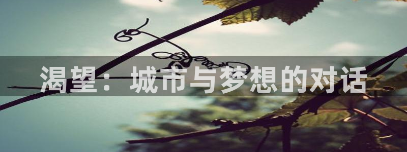秋霞在线视频韩国