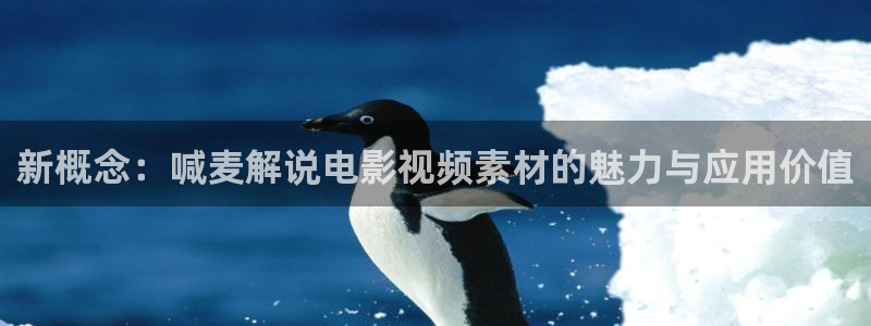秋霞电影网在线观看伦