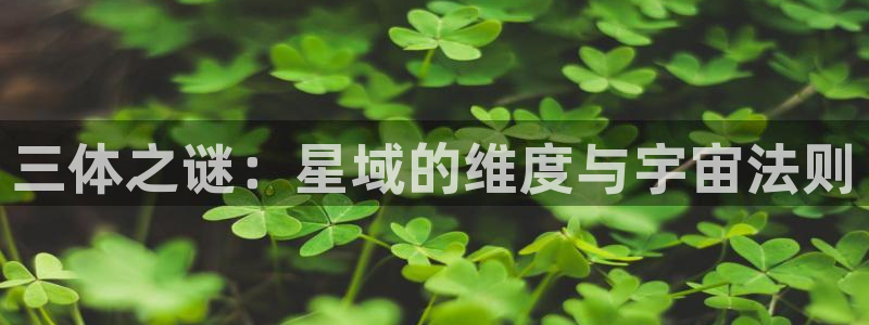 秋霞伦理片子