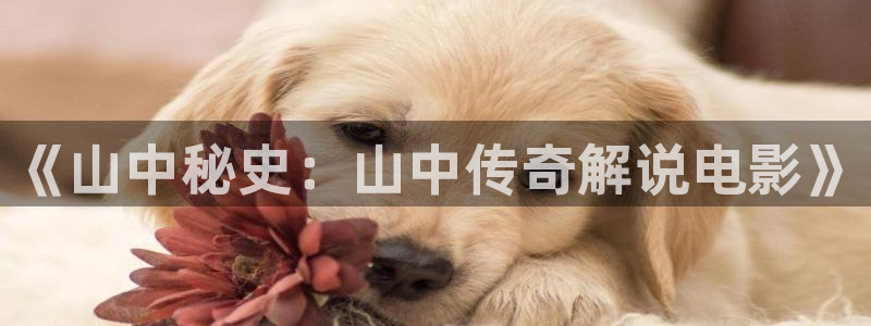 秋霞电影84