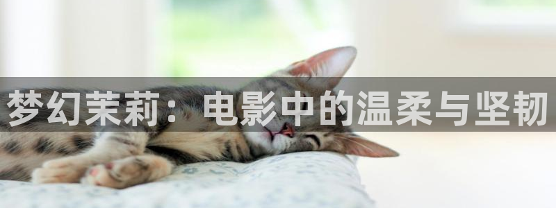 手机看片秋霞网