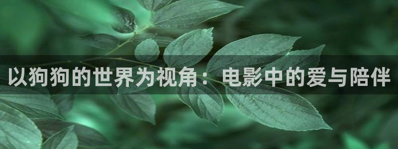 秋霞电影新入口