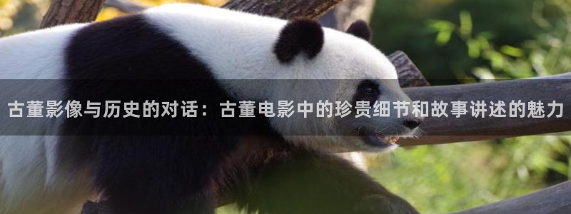 秋霞电影网日本伦理片