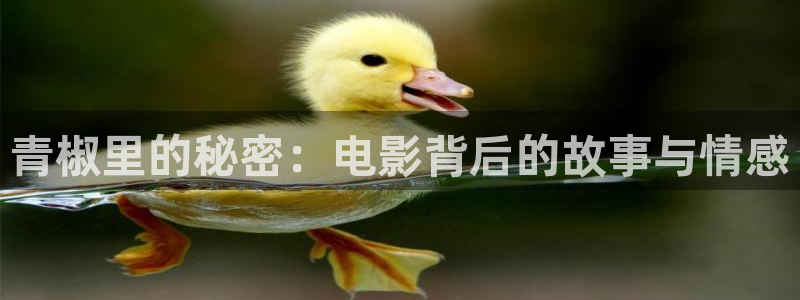 秋霞网站上