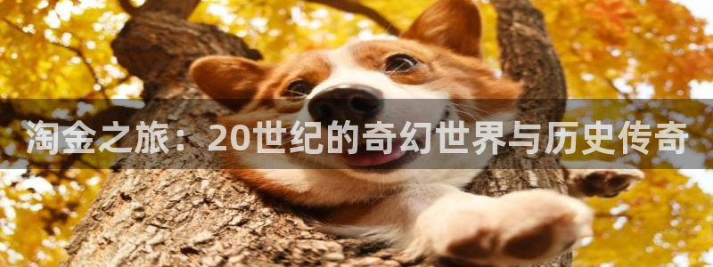秋霞电影手机版在线