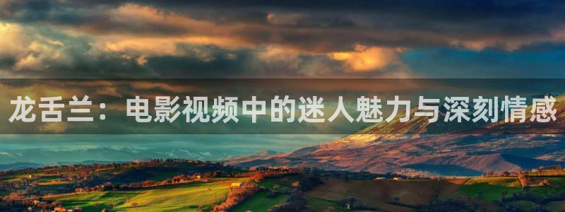秋霞三级理论电影