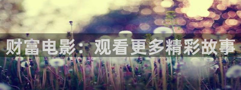 秋霞霞网