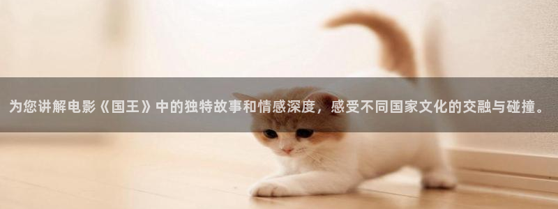 新视觉伦理秋霞