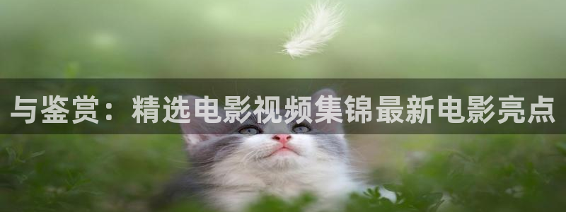 精品秋霞