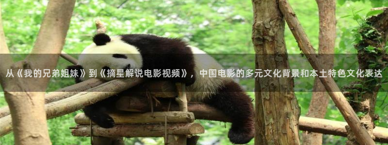 秋霞网黄