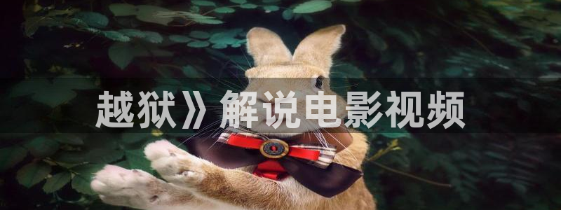 秋霞撸丝在线视频