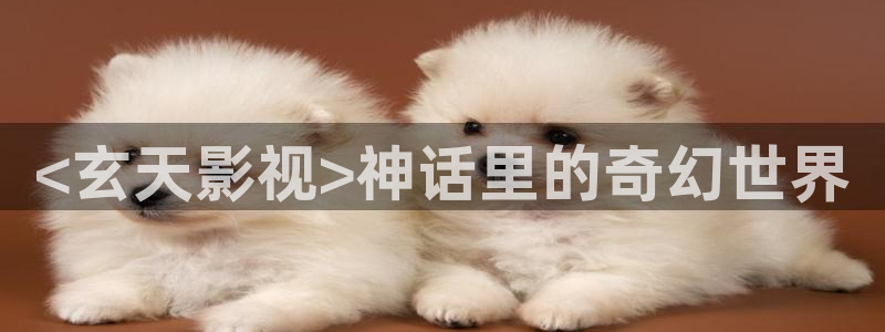 秋霞理论免费网站