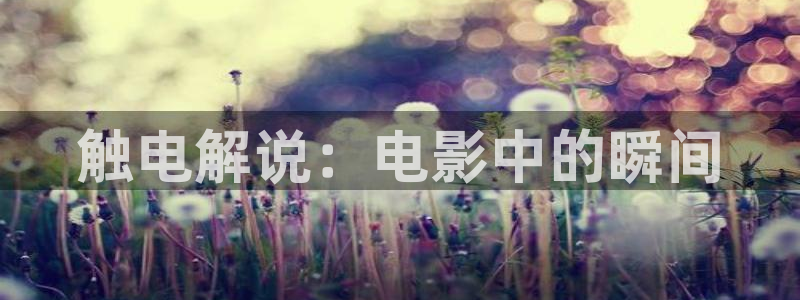 秋霞看片人妻