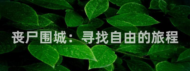 久久久久久秋霞网理论片