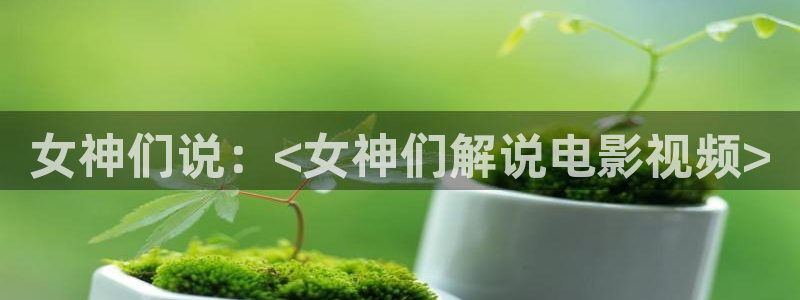 秋霞电影韩国理论片
