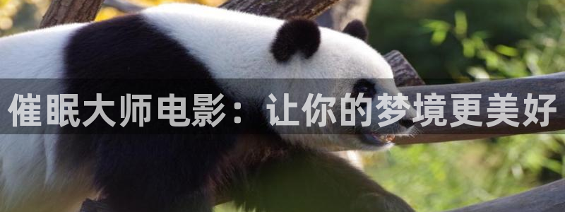 秋霞在线免费观看电影