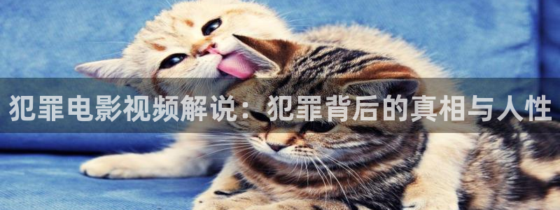 秋霞电影手机免费版在线观看秋霞电影：犯罪电影视频解说：犯罪背后的真相与人性
