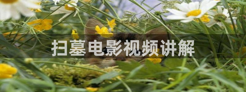 秋霞沦理电影：扫墓电影视频讲解