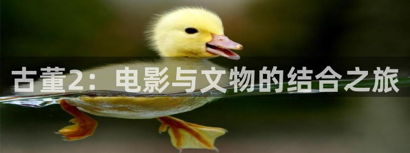 秋霞电影网韩：古董2：电影与文物的结合之旅