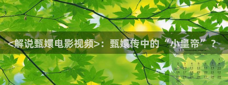 秋霞影院理伦：<解说甄嬛电影视频>：甄嬛传中的“小皇帝”？