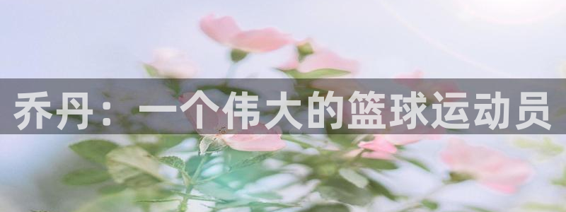 秋霞电影网封了吗：乔丹：一个伟大的篮球运动员