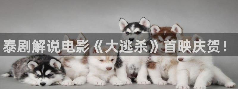 秋霞电影网 妈妈的朋友：泰剧解说电影《大逃杀》首映庆贺！
