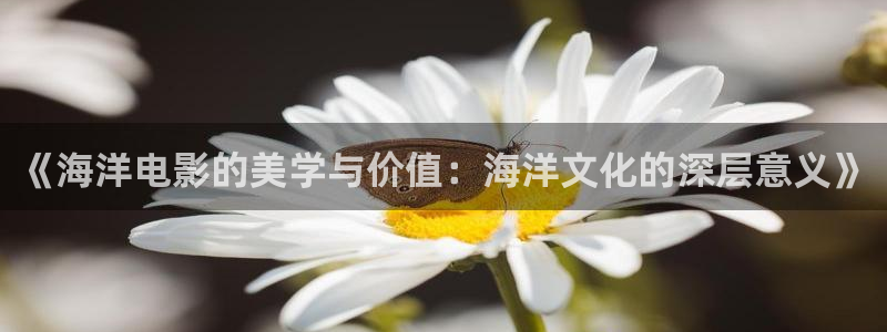 秋霞6666：《海洋电影的美学与价值：海洋文化的深层意义》