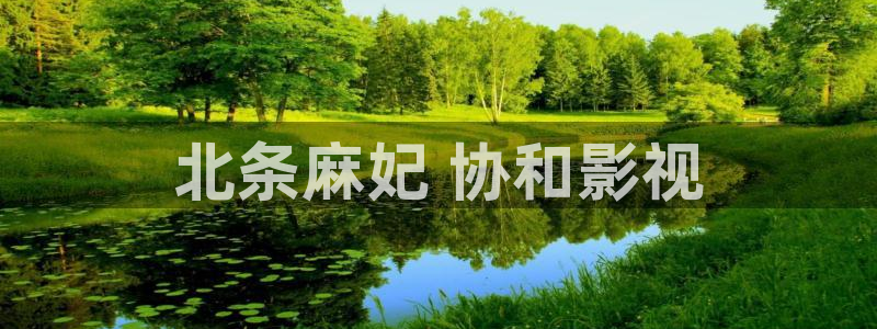 秋霞网在线播放观看：北条麻妃 协和影视