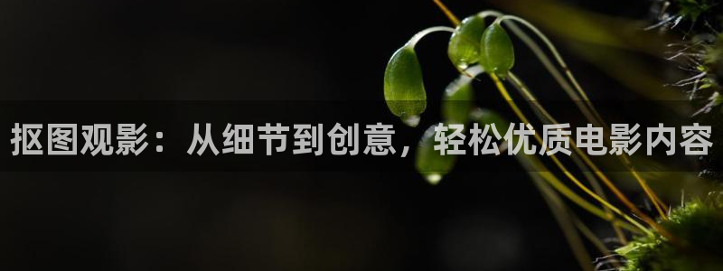 土鳖秋霞影视：抠图观影：从细节到创意，轻松优质电影内容
