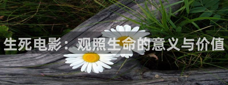 秋霞高清视频在线：生死电影：观照生命的意义与价值