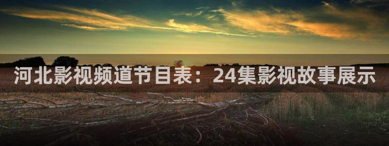 秋霞电影网2024