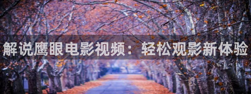 秋霞理论神马电影网