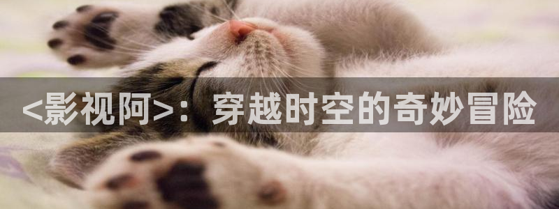秋霞伦理片新网