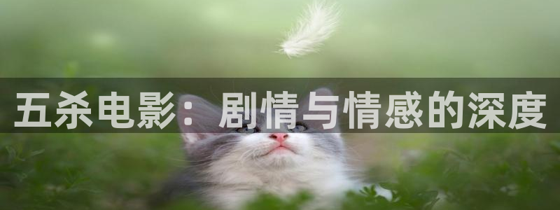 秋霞的网