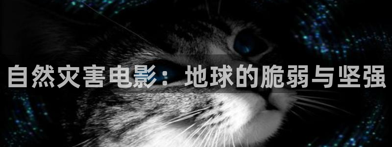 秋霞电影在线等