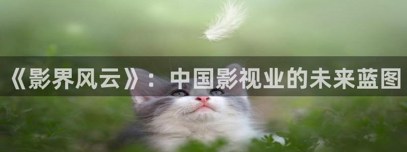 秋霞影院宅宅网