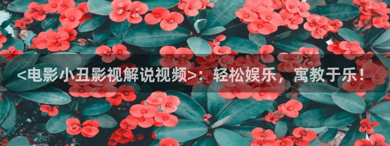 神马电影秋霞影院