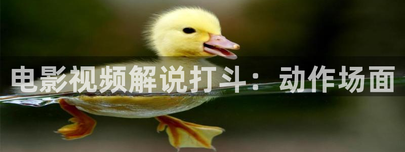 秋霞影音网