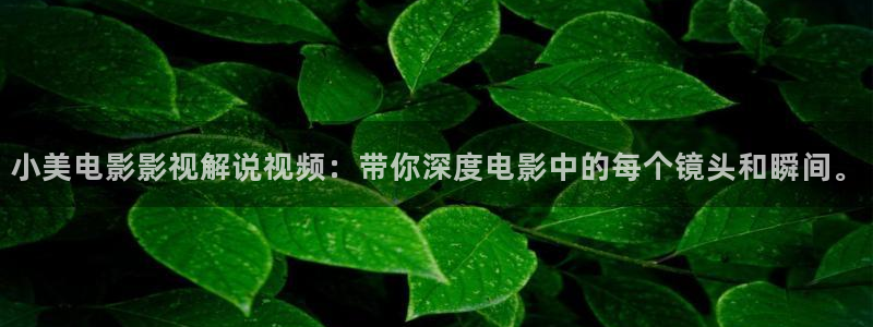 秋霞电影毛碟片