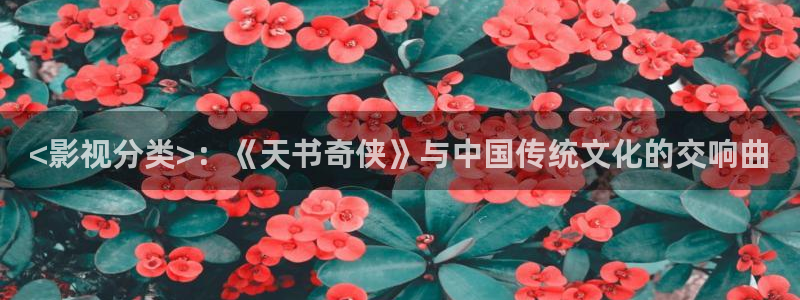 秋霞一级网站