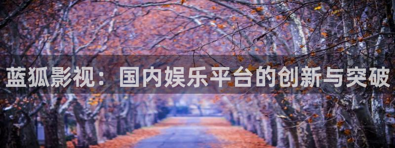 秋霞电影网在线观看网