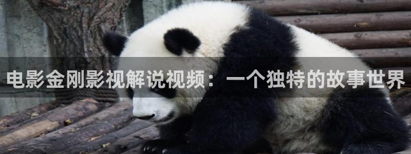 秋霞网电影网免费观看
