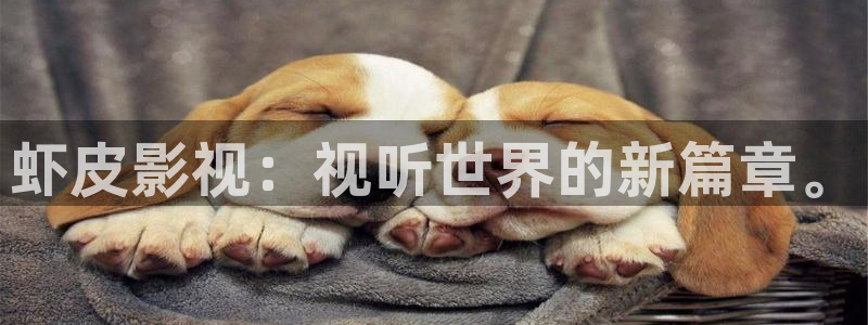 秋霞影视大全在线观看