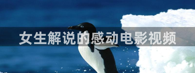 伦理片秋霞电影网