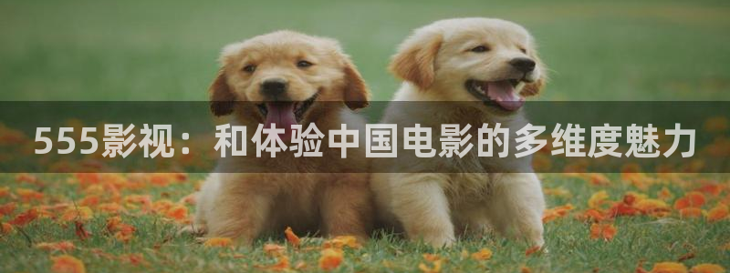 秋霞在线观看撸丝片